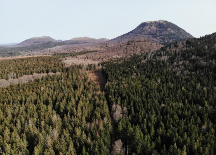 Une gestion vertueuse des forêts pour capter efficacement le CO2