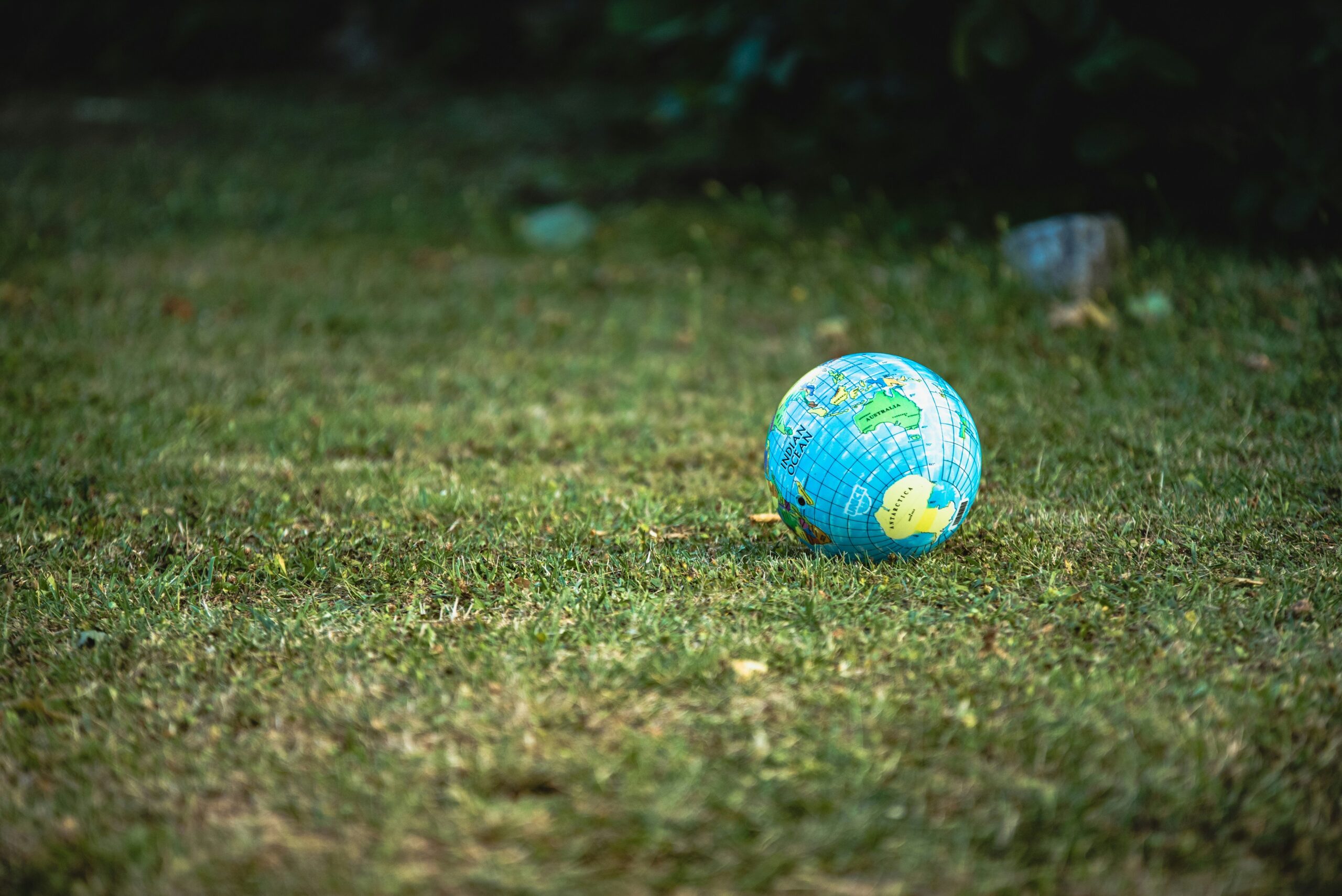 Le Greenwashing : la pratique à bannir dans son entreprise