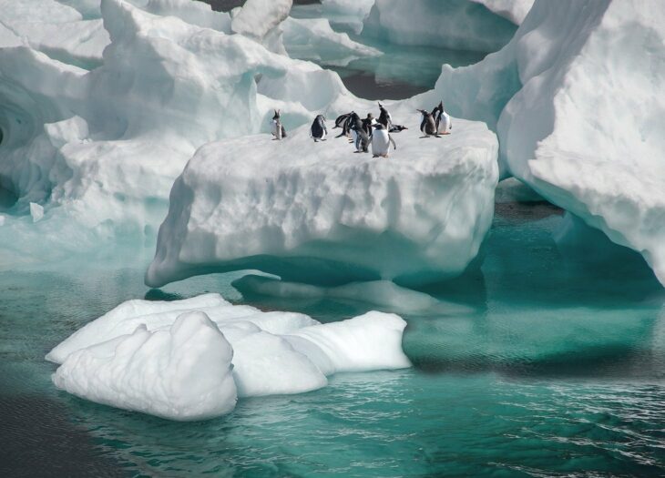 10 idées reçues sur le réchauffement climatique