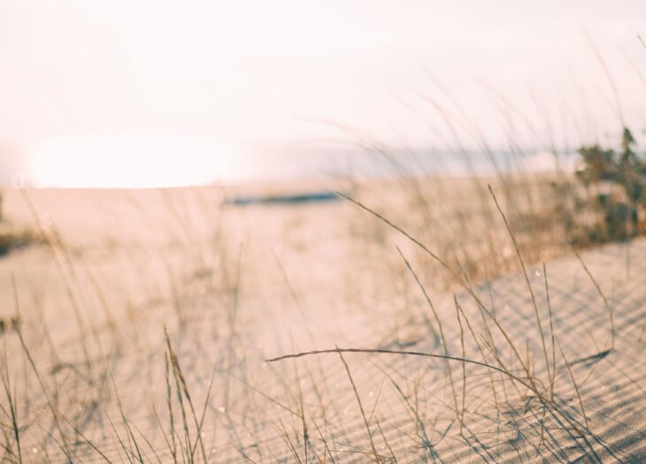 Project Vesta : du sable vert pour inverser le réchauffement climatique