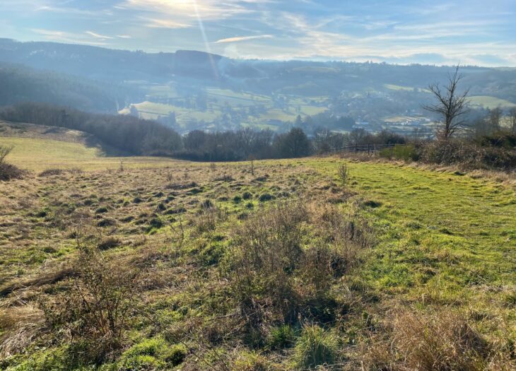 « Totale Nature » : un projet de compensation carbone volontaire porté par Le Clos Mally