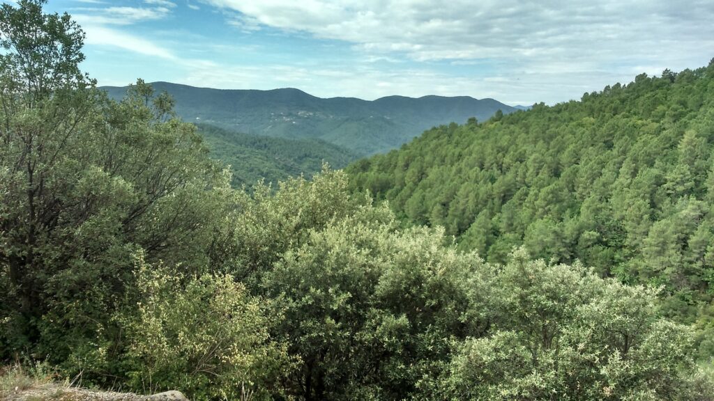 nature montagne Cévennes