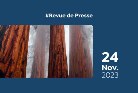 Revue de Presse #97 du Capitaine