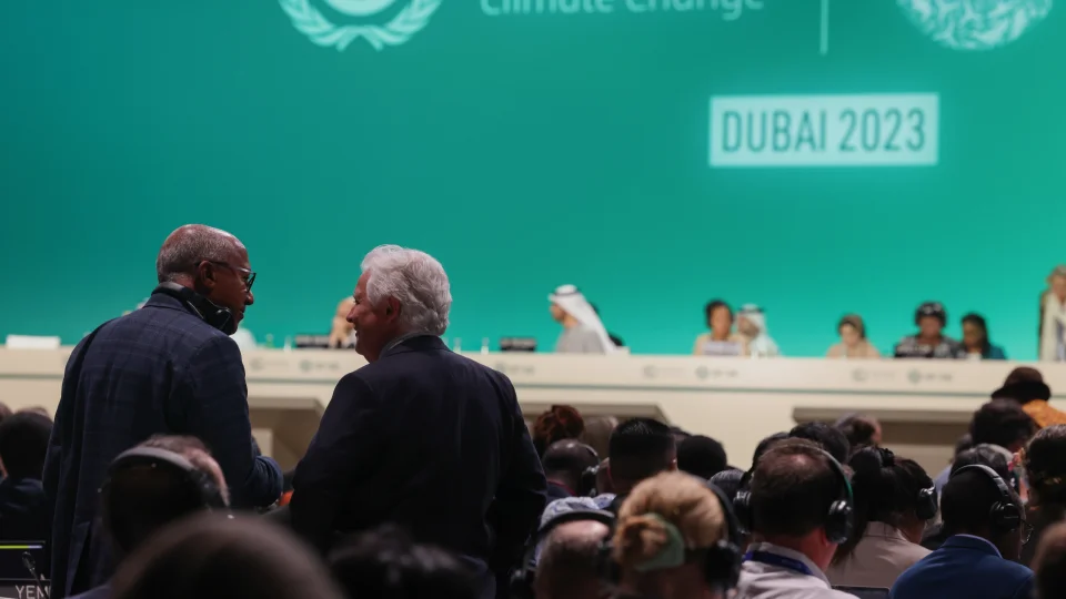 COP28 : Toujours pas de réglementations pour les crédits carbone