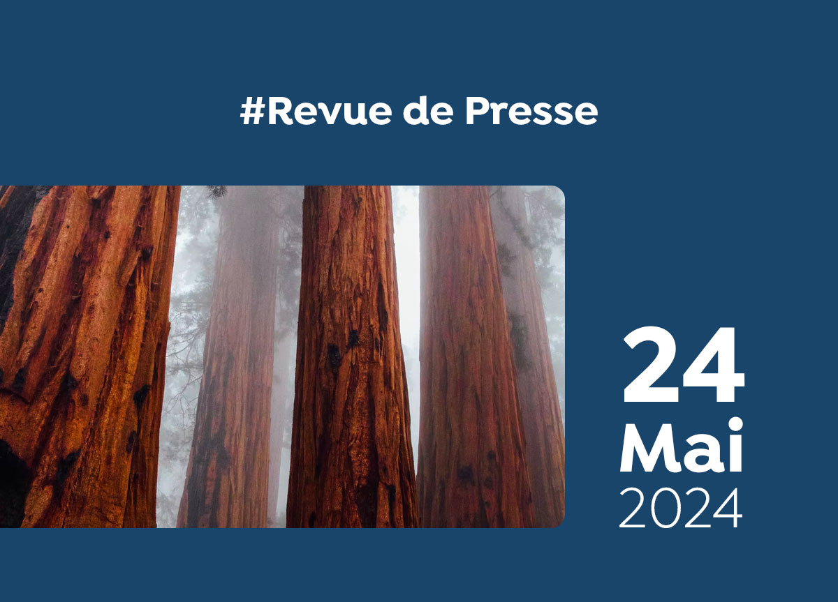 Revue de Presse #121 du Capitaine