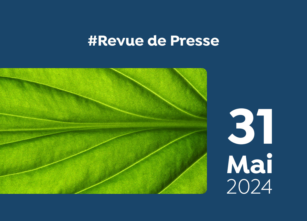 Revue de Presse #122 du Capitaine