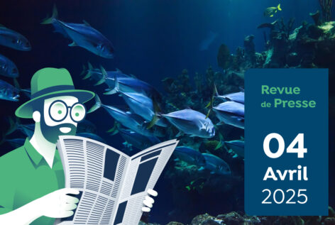 Revue de Presse #160 du Capitaine
