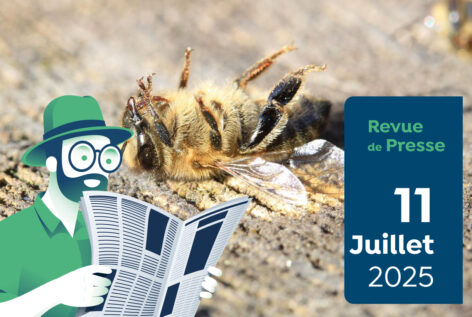 Revue de presse #172 du Capitaine