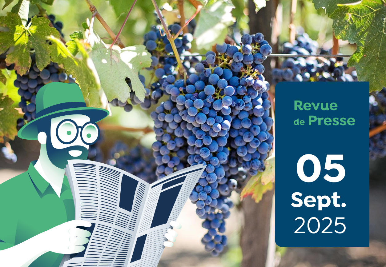 Revue de Presse #176 du Capitaine