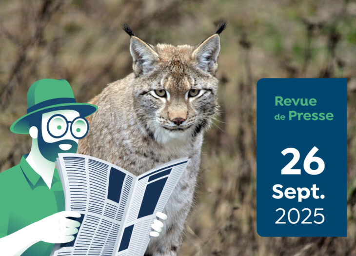 Revue de presse #179 du Capitaine