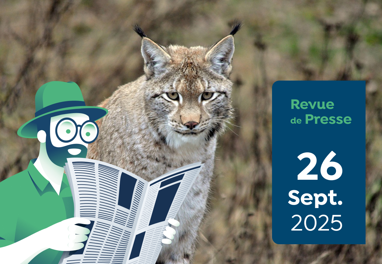 Revue de presse #179 du Capitaine