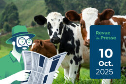 Revue de Presse #181 du Capitaine