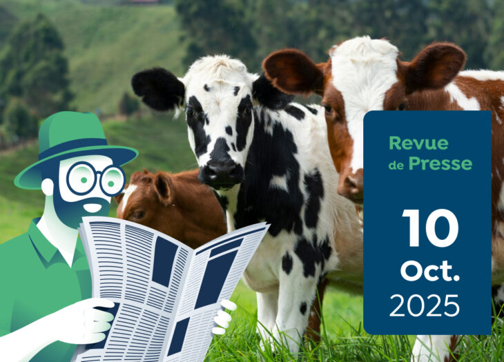 Revue de Presse #181 du Capitaine