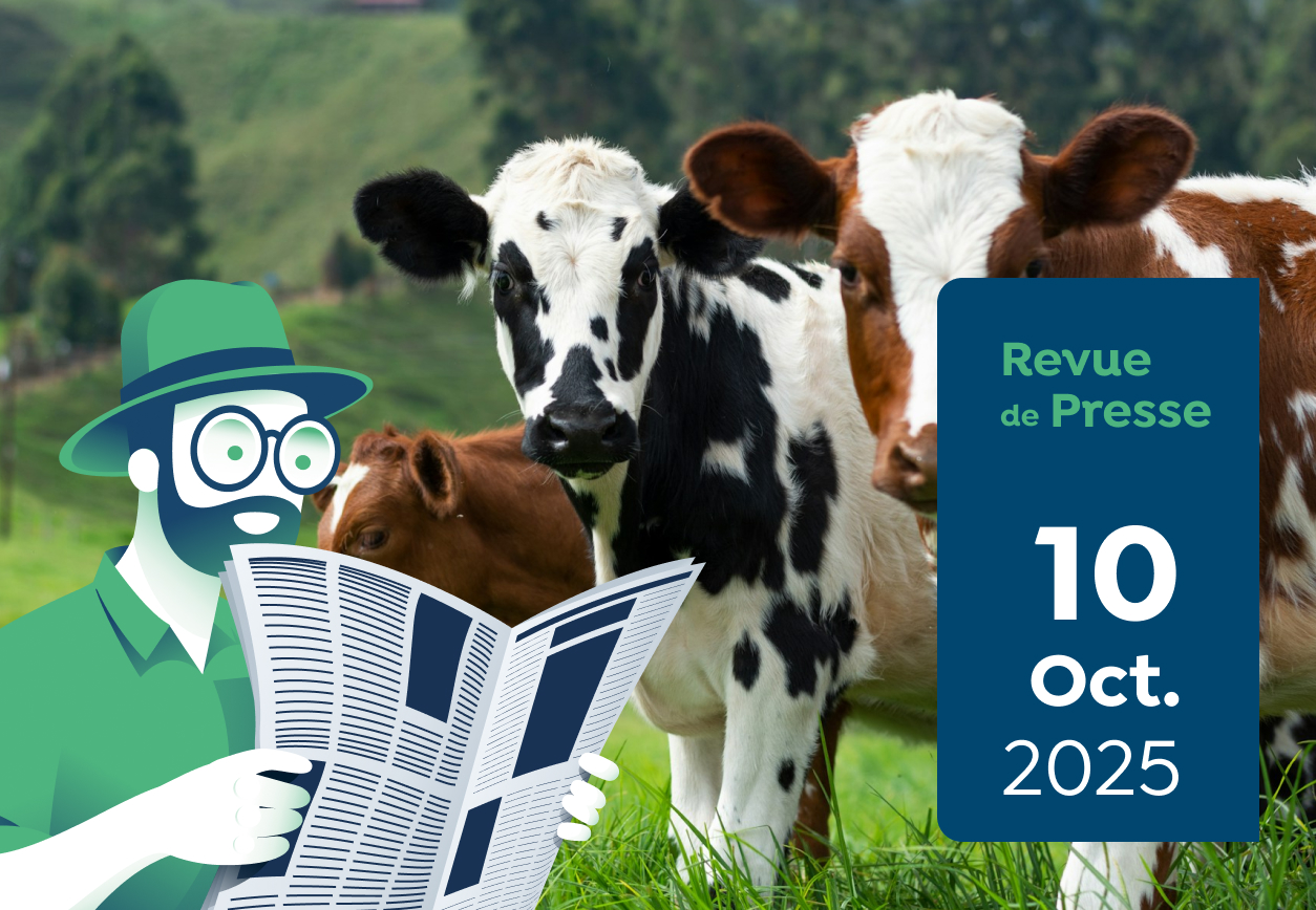 Revue de Presse #181 du Capitaine