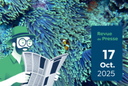 Revue de presse #182 du Capitaine