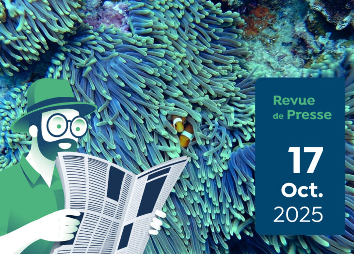 Revue de presse #182 du Capitaine