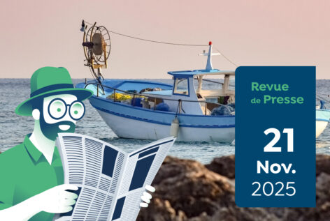 Revue de Presse du Capitaine #185