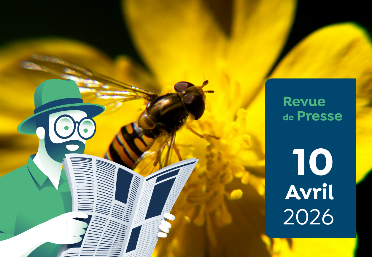 Revue de presse #195 du Capitaine